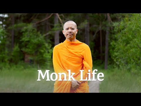 8 Years as a Monk | What I've Learned