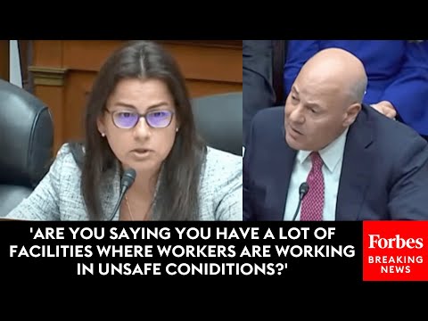 WATCH: Nannette Barragan Tears Louis DeJoy Apart Over 'Unacceptable Unsuitable' USPS Facilities