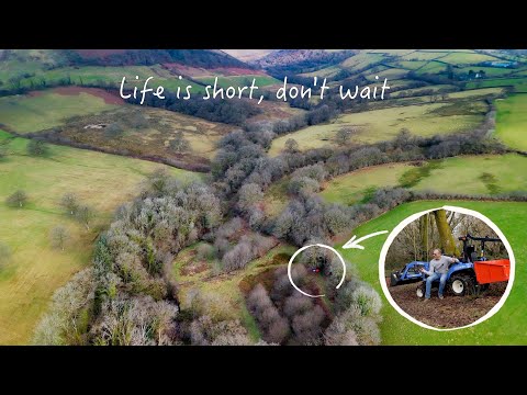 I Changed Everything, A Little Too Late