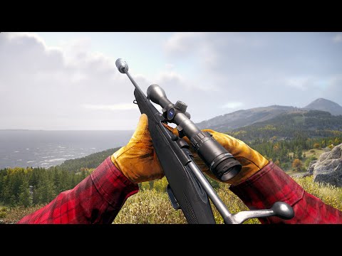 How a 9000 Hour Solo Plays DayZ...