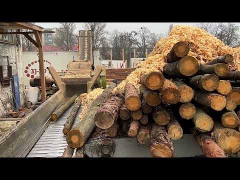 MEGA WOOD DESTRUCTION in the Insatiable Shredder