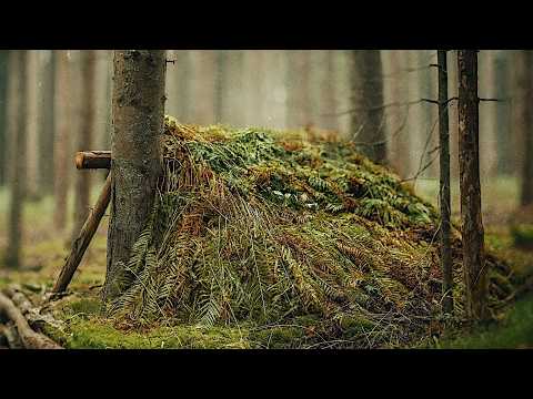 Building a Survival Shelter For Winter - 3 Days