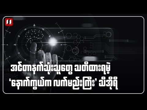 နောက်ကွယ်က လက်မည်းကြီး သီအိုရီ
