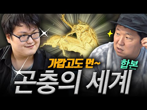 4억 8천만 년 전부터 시작된 세계관! 곤충!!🦟🐜 '피지컬 100', '부부의 세계', '돈의 맛' 다 들어있는 꿀잼 이야기!(통합본)