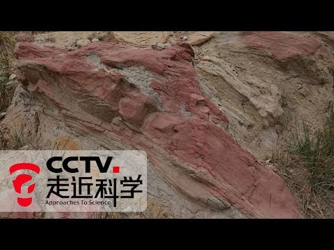 《走近科学》 铀矿发现记（下）：红黄灰绿各色岩 怎辨铀矿其真颜？20190625 | CCTV走近科学官方频道