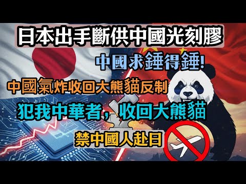日本出手斷供中國光刻膠與技術維修支援！中國氣炸收回大熊貓＋禁中國人赴日反制，股民直接哭暈