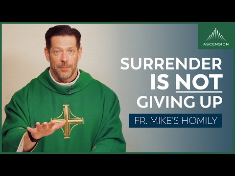"True Surrender" | 12th Sunday in Ordinary Time (Fr. Mike's Homily) #sundayhomily