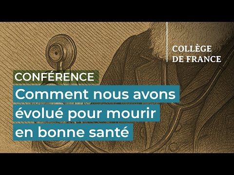 Daniel Lieberman (1) - Jean-Jacques Hublin (2025-2026)