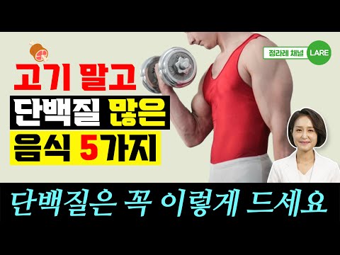 "단백질은 꼭 이렇게 드세요!" 고기 말고 단백질 많은 음식 5가지 [정라레]