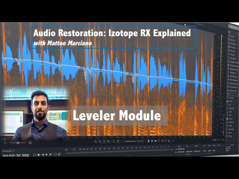 RX (10): Leveler Module