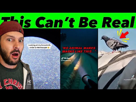 Disturbing Discoveries Are Slipping Through the Cracks…