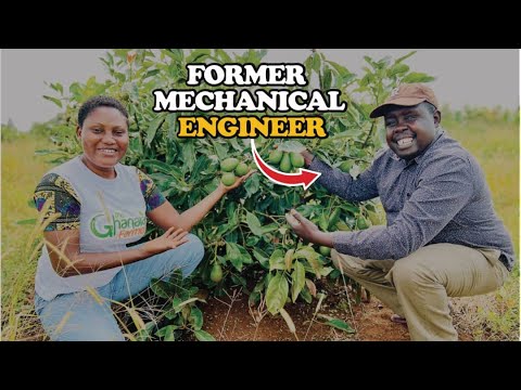He Quits Being Mechanical Engineer To Venture Into Commercial Farming In Kenyan & Exports To Europe