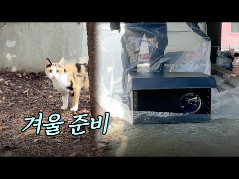 겨울을 버틸 따뜻한 작은 공간 준비하기