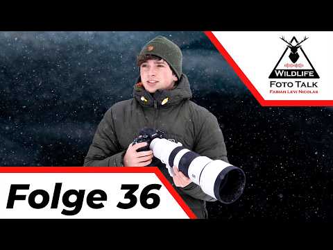 Erfahrungen Sony 400-800mm und Singvögel im Flug fotografieren
