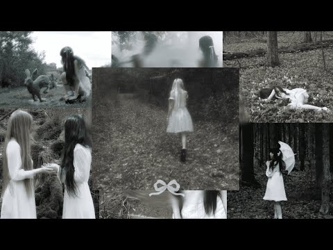꒰ঌ Lost in Forest/Sensitive Doll Playlist ໒꒱