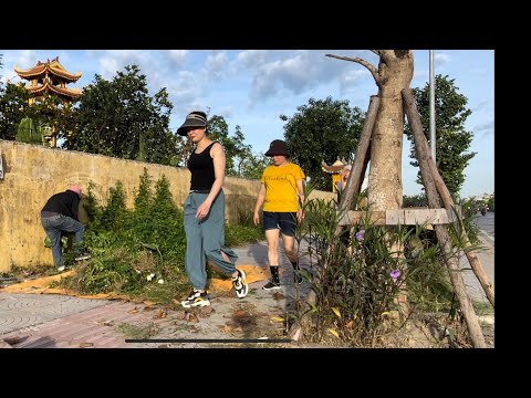 We Started Cleaning the Pagoda's Sidewalk at 5 AM—No One Expected This.