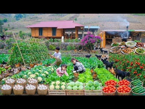 Chaotic Sold-Out Market After Massive Off-Grid Harvest