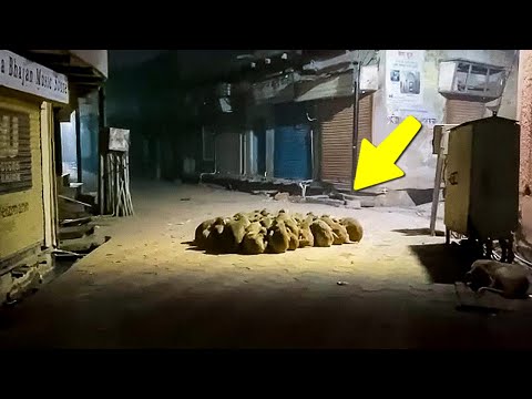 Ça A Vraiment Été Filmé Par une Caméra