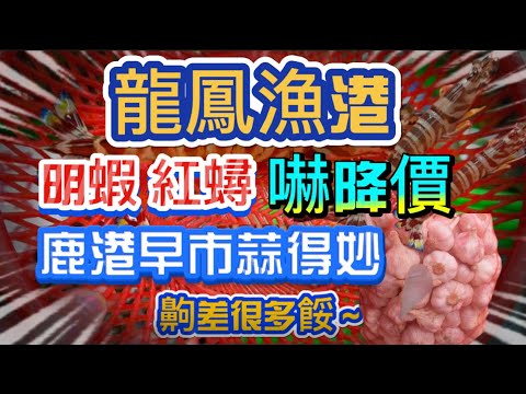 龍鳳漁港人間海味明蝦 紅蟳嚇降價｜芭蕉旗魚超廉價｜鹿港早市蒜得精｜溫室巨峰葡萄又來了 #魚市場 #鹿港#市場拍賣 #龍鳳漁港#明蝦#紅蟳2025年4月25日