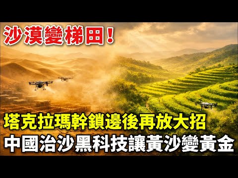 每畝年賺3000元！新疆牧民在沙漠梯田裏種出致富路
