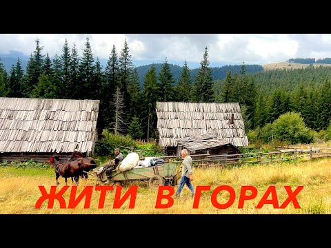 Як я жив-виживав один у горах в дуже старому будиночку на полонині Кукул. Карпати / Mountain Life