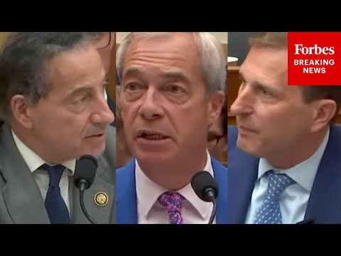 WATCH: Jamie Raskin 'Plays' Nigel Farage Under Questioning From Dan Goldman