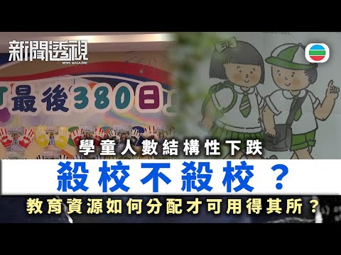 TVB新聞透視｜加速殺校？  教育成本上升？｜(繁／簡字幕)｜無綫新聞 ｜TVB News
