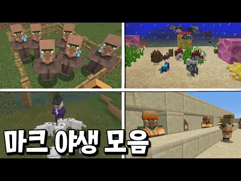 전설의 시작! 마크 야생 생존기 꿀잼 장면 모음 [마인크래프트]