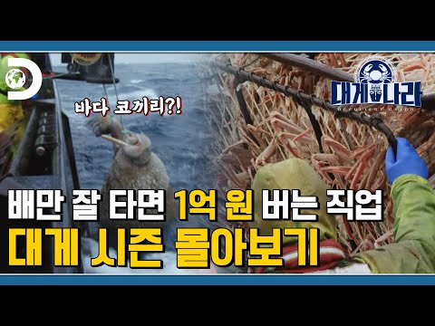 베링해의 극한 직업 대게나라 몰아보기 대게 시즌 편 [대게나라 : Deadliest Catch]