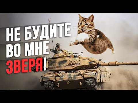 Бойцовые КОТЫ на войне