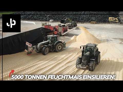 Feuchtmaisernte und Herbstarbeiten auf 5000 Hektar! || JP Agrar