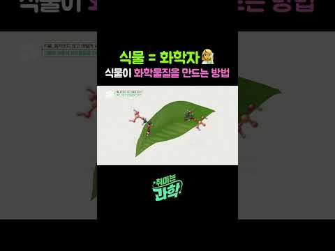 식물 = 화학자👩‍🔬 식물이 화학물질을 만드는 방법 #식물 #화학 #식물언어 #식물화학