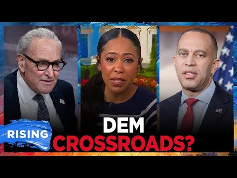 Dems Reportedly SPLIT On DHS Funding Bill, But Must HOLD THEIR GROUND: Lindsey Granger | RISING