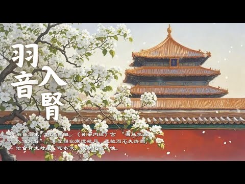 Asian Relaxing Music｜Must-Listen for Kidney Energy Replenishment – Calm the Mind & Release Fear