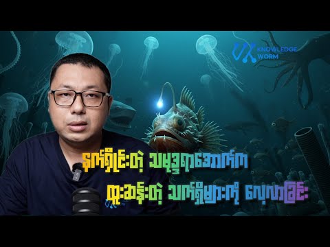 သမုဒ္ဒရာရေနက်ပိုင်းက မြင်ရဖို့ခက်တဲ့ သက်ရှိများ