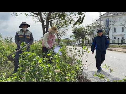 It is paradoxical that the city only cleans up parks while the sidewalks are swallowed by weeds.