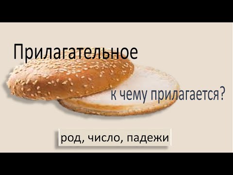 #русскийязык #егэ Имя прилагательное как часть речи: изменение по родам, числам, падежам. Видеоурок