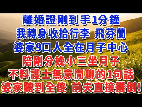 離婚證剛到手1分鐘，我轉身收拾行李 飛芬蘭，婆家9口人全在月子中心，陪剛分娩小三坐月子，不料護士無意閒聊的1句話，婆家聽到全傻 前夫直接攤倒！#小娟講故事 #情感故事 #老年生活
