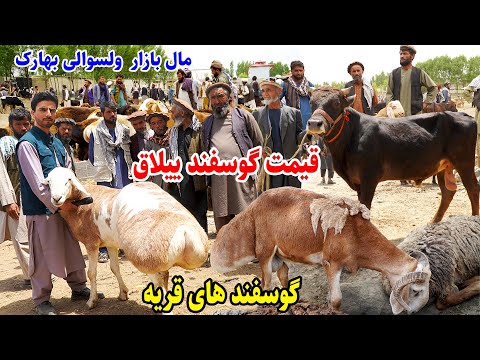آمد آمد عید بهارک بدخشان، قیمت قربانی در اطراف، قصه های بدخشانی  Badakhshan Afghanistan