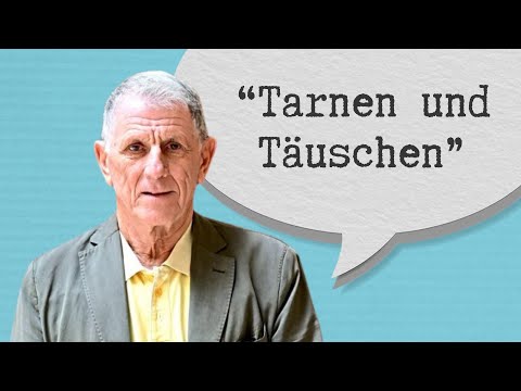 A lobbyist speaks out: "Austria has suffered the damage" | Peter Hochegger