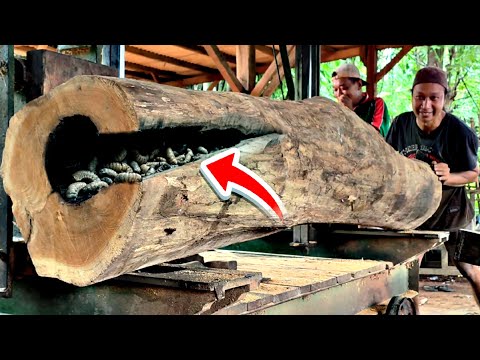 We Cut This Massive Log… and Found Something ALIVE Inside