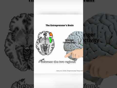 Entrepreneurs' Secret to Their Risk-Taking Behavior (It's in the Brain)