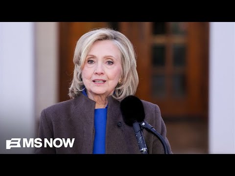 ‘Clinton derangement syndrome!’: Steele slams GOP grilling of Hillary Clinton over Epstein