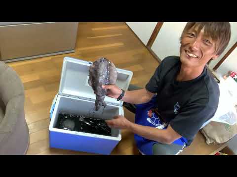 夕食ライブ 2025.11.23 アオリイカ