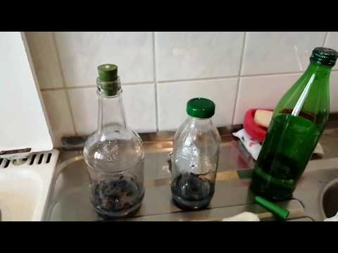 Посев семян орхидей в домашних условиях