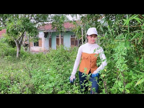 Help a single old lady clean up an abandoned house to live in