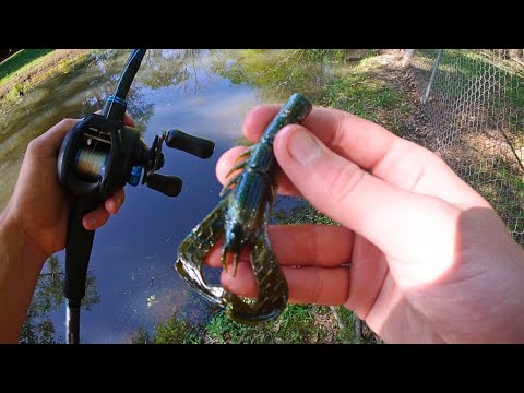 Bank Fishing in Massive Lake for Massive Smallmouth and Largemouth Bass!!! 