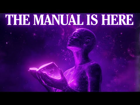 The Quantum Field Just Handed You the Manual of Reality