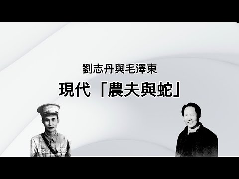 刘志丹习仲勋险被活埋，毛泽东喊刀下留人；毛设计铲除刘志丹，对纪实小说勃然大怒；整刘亲友株连九族，六万人被冤文字狱；《西北岁月》不能说的秘密，毛泽东与刘志丹的恩怨情仇
