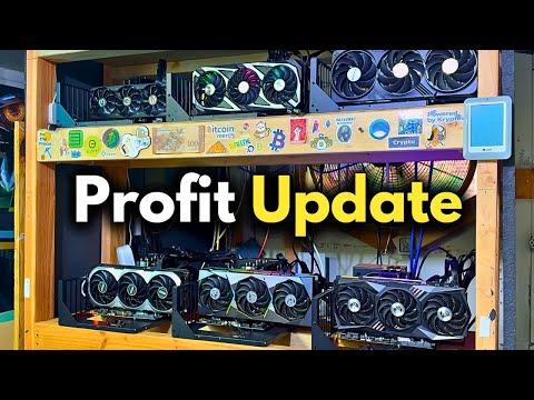 What is Going on With My Salad Ai Rigs?